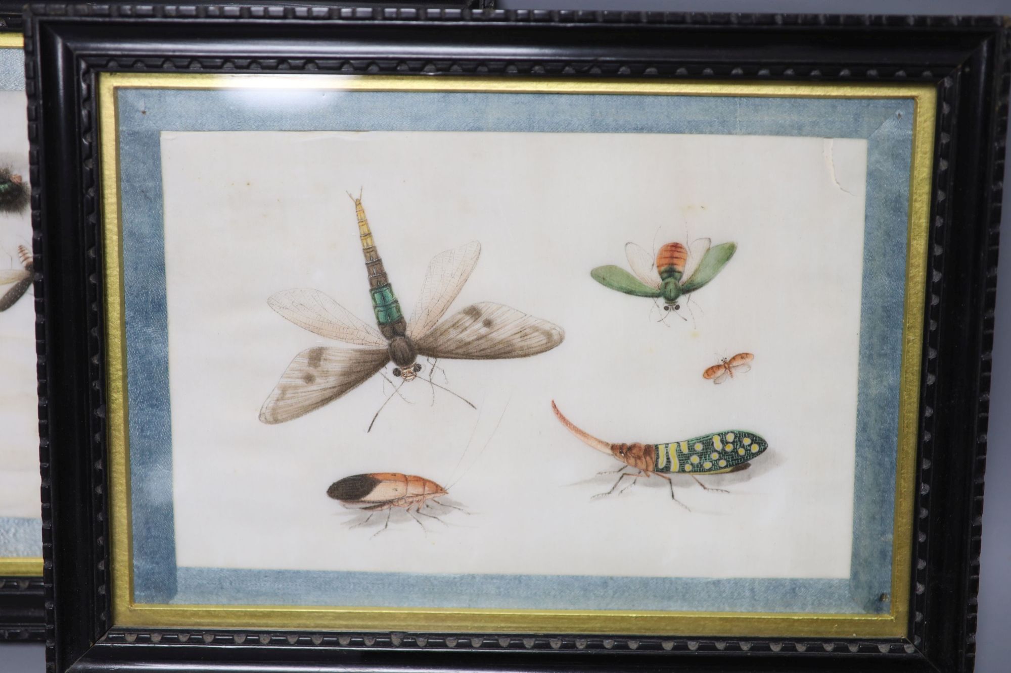 Four 19th century Chinese pith paintings of insects, 14.5 x 19.cm including ribbon border and three pith paintings of, 10 x 7.5cm